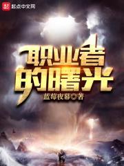 职业者的曙光 职业者的曙光