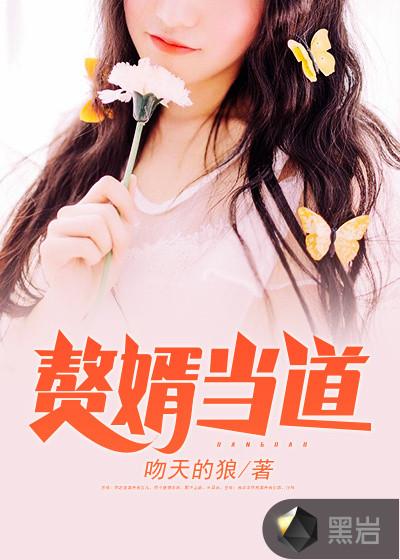 我是赘婿 我是赘婿