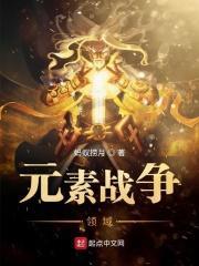 元素战争领域 元素战争领域