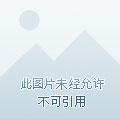 大武贼 大武贼