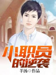 小职员的逆袭 小职员的逆袭
