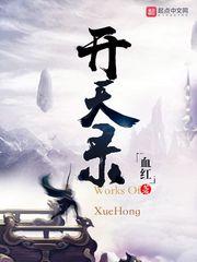 开天录 开天录