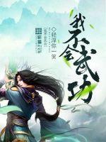 我不会武功 我不会武功