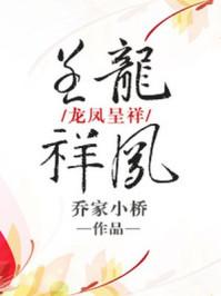 龙凤呈祥 龙凤呈祥