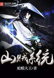 最强山贼系统 最强山贼系统