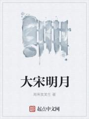 大宋明月 大宋明月