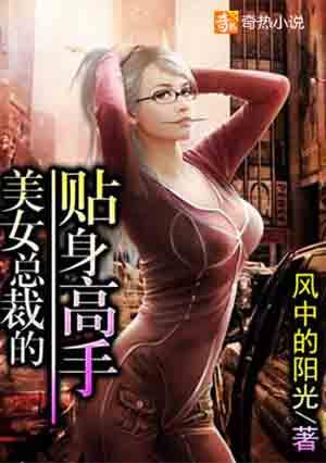 女总裁的贴身高手 女总裁的贴身高手