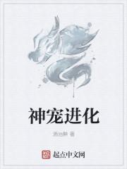 神宠进化 神宠进化