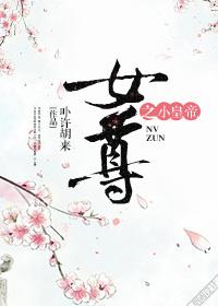 女尊之小皇帝 女尊之小皇帝
