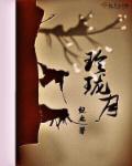 玲珑月 玲珑月