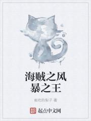海贼之风暴之王 海贼之风暴之王