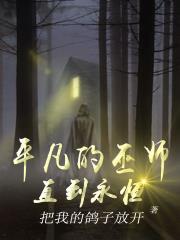 平凡的巫师:直到永恒 平凡的巫师:直到永恒