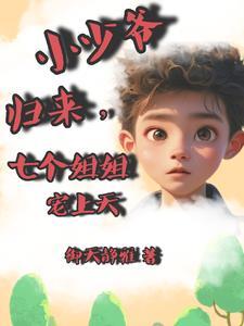 我家少爷回家之后火爆全城 我家少爷回家之后火爆全城