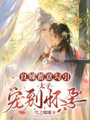 良娣蓄意勾引,太子宠到怀孕 良娣蓄意勾引,太子宠到怀孕