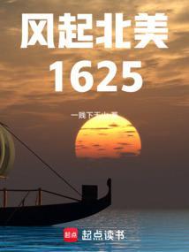 风起北美1625 风起北美1625