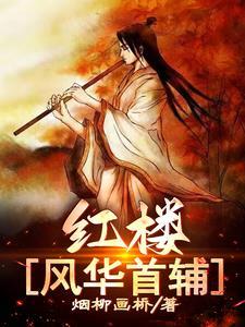 红楼:风华首辅 红楼:风华首辅