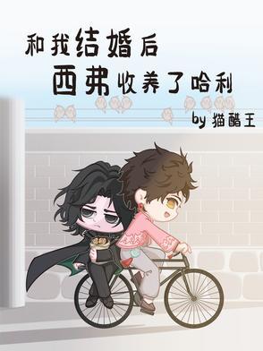 和我结婚后,西弗收养了哈利 和我结婚后,西弗收养了哈利