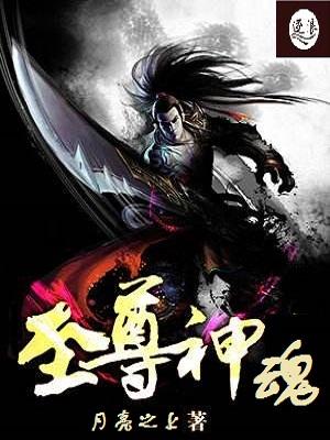 至尊神魂 至尊神魂