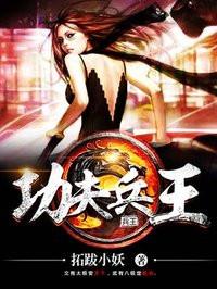 功夫兵王 功夫兵王