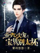 帝少心尖宠:宝贝,别太坏 帝少心尖宠:宝贝,别太坏