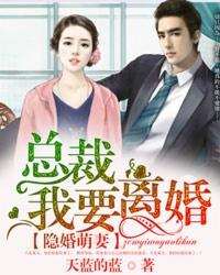 隐婚萌妻:总裁,我要离婚 隐婚萌妻:总裁,我要离婚