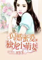 闪婚蜜爱:独宠小萌妻 闪婚蜜爱:独宠小萌妻