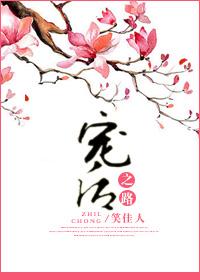 宠后之路 宠后之路