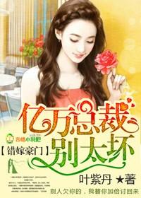 错嫁惊婚,亿万总裁请放手 错嫁惊婚,亿万总裁请放手