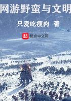 网游野蛮与文明 网游野蛮与文明