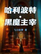 哈利波特之黑魔主宰 哈利波特之黑魔主宰