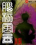 脑核风暴 脑核风暴