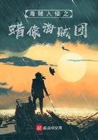 海贼入侵之蜡像海贼团 海贼入侵之蜡像海贼团