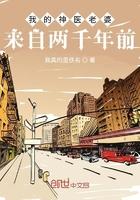 我的神医老婆来自两千年前 我的神医老婆来自两千年前