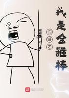 西游之我是金箍棒 西游之我是金箍棒