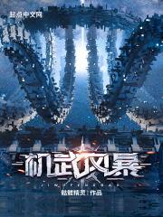 机武风暴 机武风暴