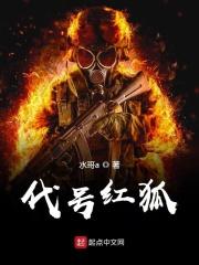 代号红狐 代号红狐